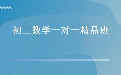 初三数学一对一精品班	 