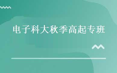 电子科大秋季高起专班 
