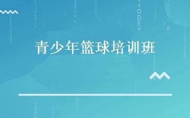 青少年篮球培训班 