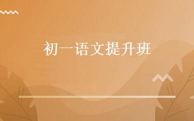 初一语文提升班 