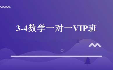 3-4数学一对一VIP班 