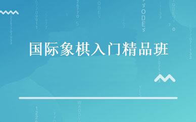 国际象棋入门精品班 