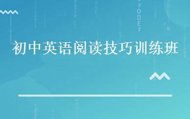 初中英语阅读技巧训练班 