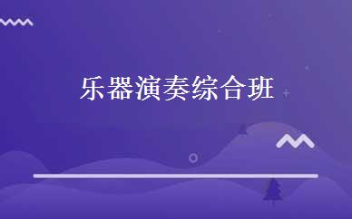 乐器演奏综合班 