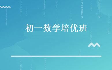初一数学培优班 