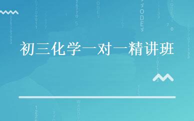 初三化学一对一精讲班 