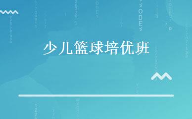 少儿篮球培优班 