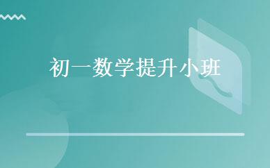 初一数学提升小班 