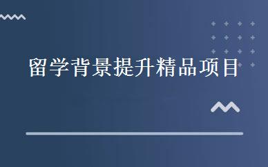 留学背景提升精品项目 