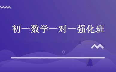 初一数学一对一强化班 