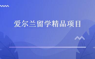 爱尔兰留学精品项目 