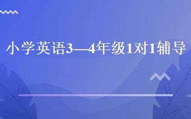 小学英语3—4年级1对1辅导班 