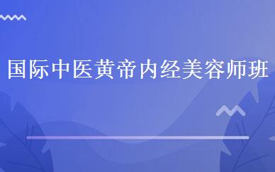 国际中医黄帝内经美容师班 
