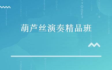 葫芦丝演奏精品班 