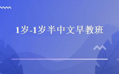 1岁-1岁半中文早教班 
