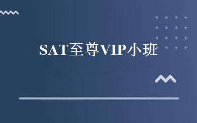 SAT至尊VIP小班 