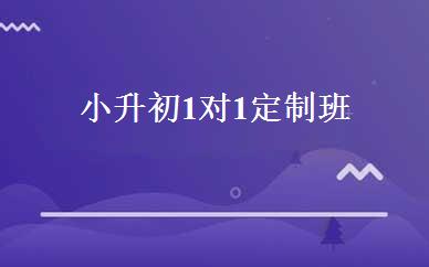 小升初1对1定制班  