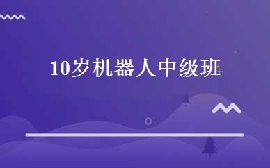 10岁机器人中级班 