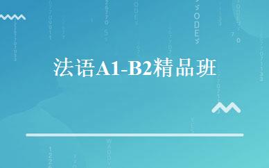 法语A1-B2精品班 