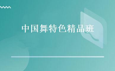 中国舞特色精品班 