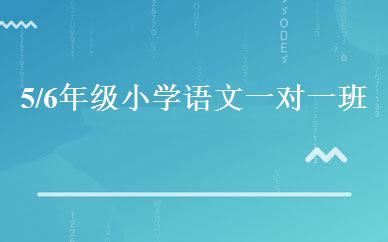 5/6年级小学语文一对一班 