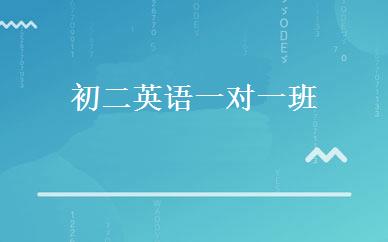 初二英语一对一班 