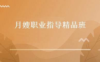 月嫂职业指导精品班 