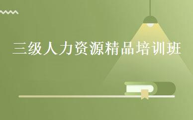 三级人力资源精品培训班 