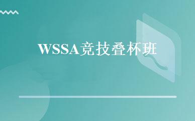 WSSA竞技叠杯班 