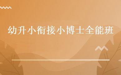 幼升小衔接小博士全能班 