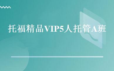托福精品VIP5人托管A班 