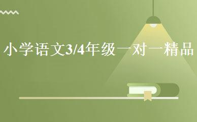 小学语文3/4年级一对一精品班 