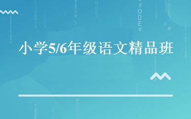 小学5/6年级语文精品班 