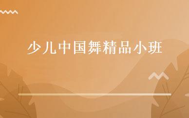 少儿中国舞精品小班 