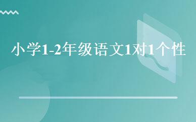 小学1-2年级语文1对1个性化辅导班 