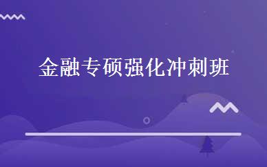 金融专硕强化冲刺班 