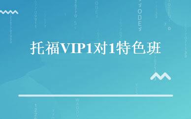 托福VIP 1对1特色班 