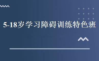 5-18岁学习障碍训练特色班 