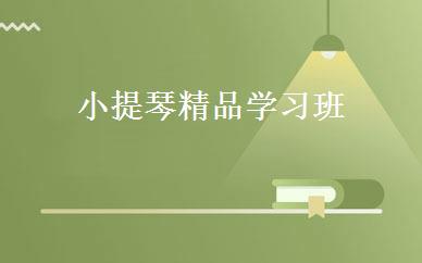 小提琴精品学习班 