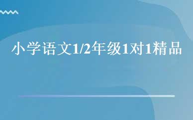 小学语文1/2年级1对1精品班 