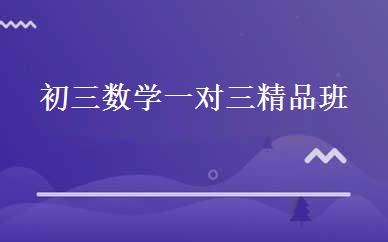 初三数学一对三精品班 
