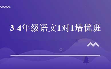 3-4年级语文1对1培优班 