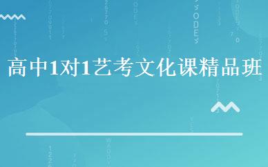 高中1对1艺考文化课精品班 