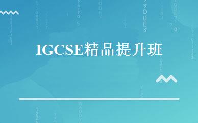 IGCSE精品提升班 
