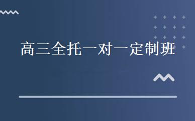 高三全托一对一定制班 