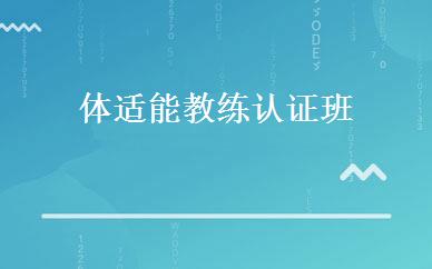 广东小学辅导哪家好,多少钱_体适能教练认证班 _广州567GO健身教练培训