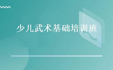 少儿武术基础培训班 