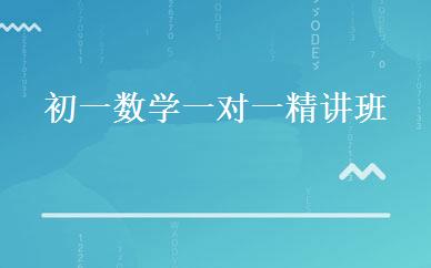 初一数学一对一精讲班 