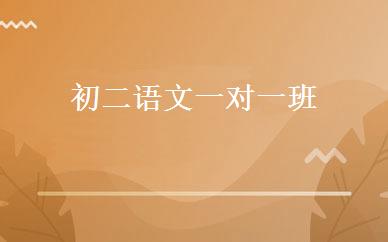 初二语文一对一班 