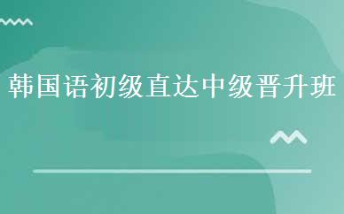韩国语初级直达中级晋升班 